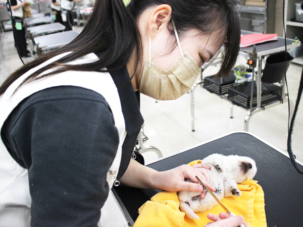 夜間部2年生、子犬のお世話♪